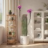 43 Inch Artificial Cactus Potted Plant, Realistic Faux Desert Cacti with Planter for Indoor & Outdoor Decor - 2 of 4