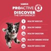 IAMS Proactive Health Minichunks Lamb and Rice Flavor Dry Dog Food - 2 of 4