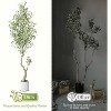 Tall Faux Olive Tree, Olive Trees Artificial Indoor with White Planter and Green Fake Moss for Home Office Living Room Bedroom Stairs Foyer Decor - 4 of 4