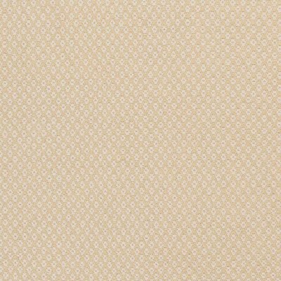 Hauteloom Gheen Area Rug