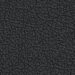 florida state seminoles athletic wordmark