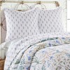 Apolonia Botanical Floral Quilted Euro Sham - 2pk - Villa Lugano by Levtex Home - 2 of 3