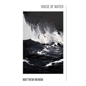 House of Water - by  Matthew Nienow (Paperback) - 1 of 1