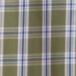 safari green check