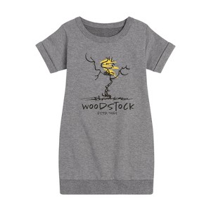 - Peanuts - Woodstock Estd Graphic Short Sleeve Fleece Dress - 1 of 4