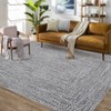 Modern Braided Print Area Rug Machine Washable Rug Stain Resistant Indoor Carpet With Non-Slip Backing Non Shedding Low Pile Floor Cover - 3 of 4