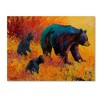 Marion Rose 'Double Trouble Black Bear' Canvas Art-35x47 - 2 of 3