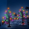 Racxily 2Pack 1.97FT Lighted Halloween Trees Halloween Indoor Decorations Black Halloween Tree Lights with Timer Adjustable Twigs - 2 of 4