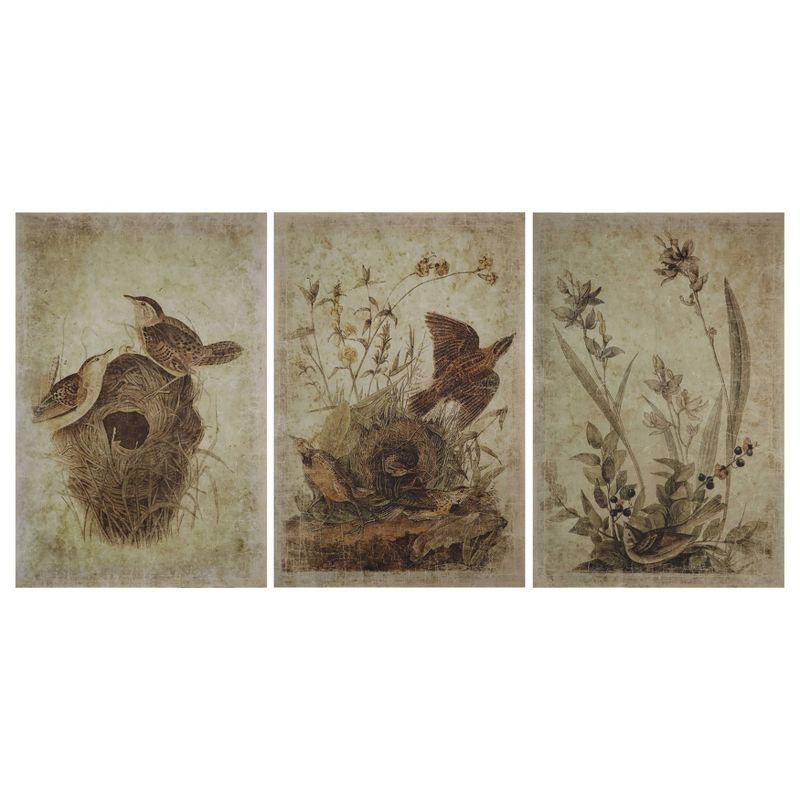 Storied Home (Set of 3) Decorator Paper with Bird Prints Brown Wall Art Set, 1 of 4