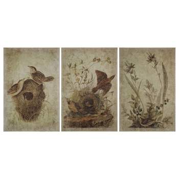 Storied Home (Set of 3) Decorator Paper with Bird Prints Brown Wall Art Set