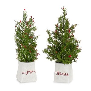 Frosted Christmas Mini Pine Trees in Pots – Set of 2 by Melrose - 1 of 3