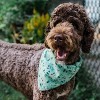 The Worthy Dog Golf Bandana Accessory - 4 of 4
