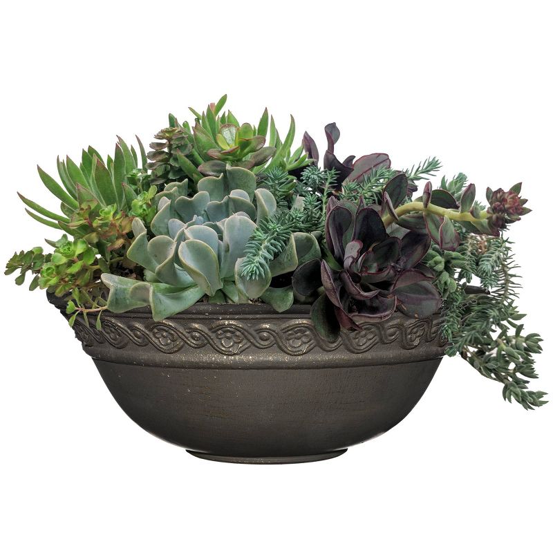 Set of 2 Corinthian Bowl Planters - Classic Home and Garden, 4 of 26
