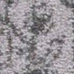 light grey/dark grey