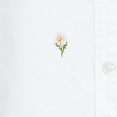white daisy embroidery