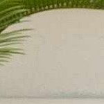 charcoal, blue, lightgray, offwhite