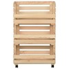 vidaXL Vegetable Trolley 14.6 in.x11.8 in.x31.5 in. Solid Wood Pine - 3 of 4
