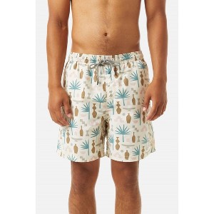 Men's Mezcal Volley Trunk - Katin - 1 of 3