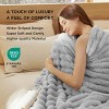 Bedsure Striped Flannel Fleece Blanket for Bed, Super Soft Throw Blanket for Couch, Wider Striped Design - 2 of 4