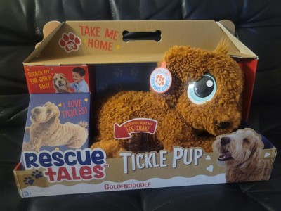 Rescue Tales Babies Bff – Corgi & Goldendoodle : Target