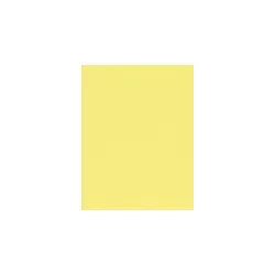 Lux Paper 8.5" x 11" Pastel Canary Yellow 60 lb Text 250/Pack (81211-P-65-250) 