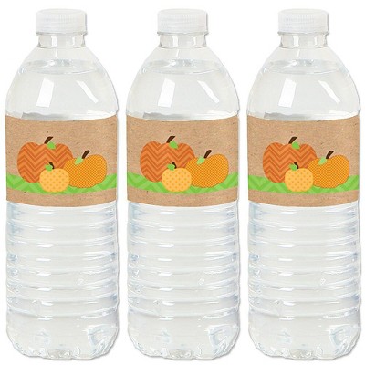 Big Dot of Happiness Pumpkin Patch - Fall, Halloween or Thanksgiving Party Water Bottle Sticker Labels - Set of 20