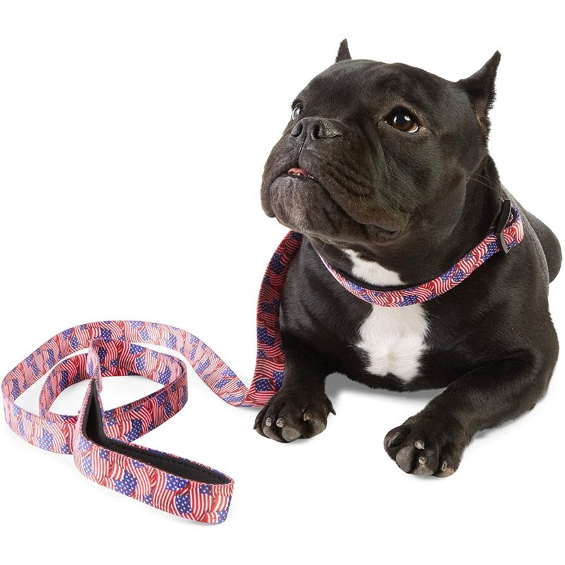 Zodaca 2 Piece Set American Flag Collar and Leash for Medium and Large Dogs, 2 of 9