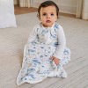 aden + anais Organic Wearable Blanket - 3 of 3