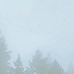 coastal white