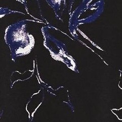 black midnight floral