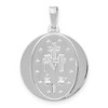 Black Bow Jewelry 14k White Gold Solid Round Miraculous Medal Pendant, 19mm (3/4 Inch) - 3 of 4