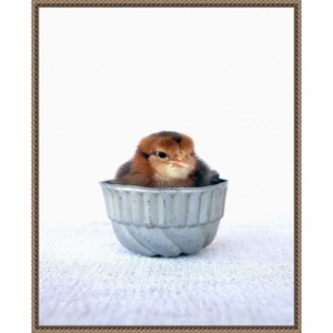 Amanti Art Tiny Baker II by Tania Soderman Framed Canvas Wall Art - 1 of 4