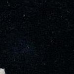 black and gray