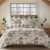 Winter Sleigh Ride Euro Sham Set of 2 - Levtex Home - 2 of 4