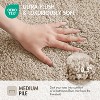 KWPZQEB Bathroom Rugs Mat, Extra Soft Cotton Tufted Bath Rugs, Latex Backing, Bath Mats for Bathroom Floor, Tub and Shower - 3 of 4