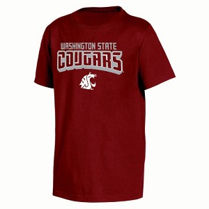 NCAA Washington State Cougars Boys' Core T-Shirt - 1 of 3