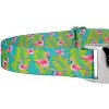 Country Brook Petz Martingale with Premium Buckle, Critter Corner Collection - 4 of 4
