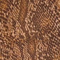 brown snake print