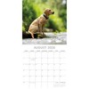 2026 Square Wall Calendar, Labradors, 16-Month Animals Theme with 180 Reminder Stickers (12x12 In) - 3 of 4