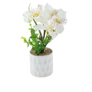 Unique Bargains Artificial Plants Five-Headed Daffodil Bonsai Plastic 2.76"x2.76"x9.45" 1 Pcs - 1 of 4