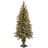 National Tree Company 4' PreLit Glittery Bristle Pine Entrance Artificial Christmas Tree 100 Warm White LED Lights - 2 of 3