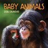 TF Publishing 13.5"x14.5" 2026 Baby Animals Wall Calendar - 2 of 4