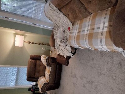 Guest review image 1 of 1, zoom in