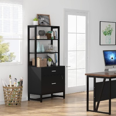 Black Vertical 2-Drawer Lockable File Cabinet with Shelves