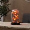 LuxenHome 6.7" LuxenHome Lighted Fall Harvest Glass Dome Decoration, Battery-Operated Clear - 2 of 4