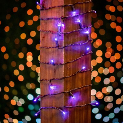 Commercial Grade Purple LED Christmas Tree Lights on Brown Wire