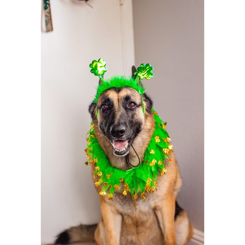 Midlee St. Patrick's Day Shamrock Dog Headband, 2 of 9