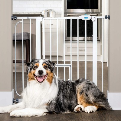 carlson design paw extra wide pet gate