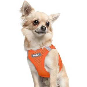 rabbitgoo Small Dog Harness, Step-in Soft Mesh Reflective Pet Harness for Extra Small Dogs, Orange XXXS - 1 of 1