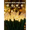 FAAYFIAN 8 ft 20-LED Battery Operated Mini Christmas String Lights, Warm White Indoor Fairy Lights - 2 of 4
